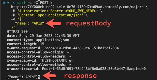 VS code curl post request