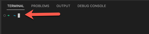 VS Code terminal prompt